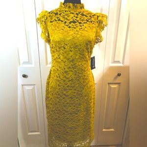 Alexa B Nites Gold lace dress